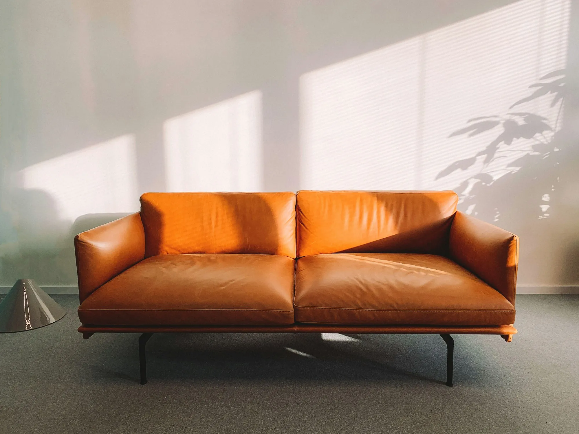 Leather and wood furniture